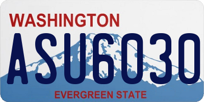 WA license plate ASU6030