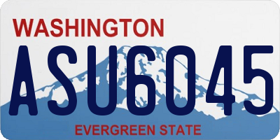 WA license plate ASU6045