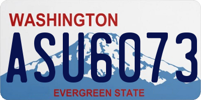 WA license plate ASU6073
