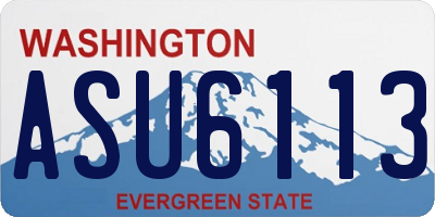 WA license plate ASU6113