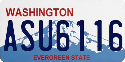WA license plate ASU6116