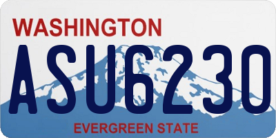 WA license plate ASU6230