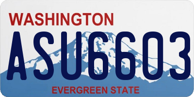 WA license plate ASU6603