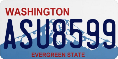 WA license plate ASU8599
