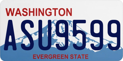 WA license plate ASU9599