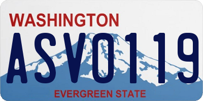 WA license plate ASV0119