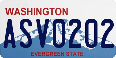WA license plate ASV0202