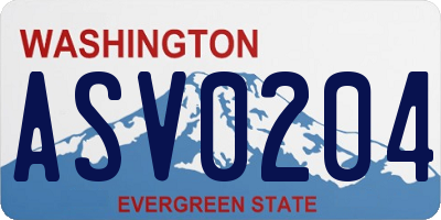WA license plate ASV0204