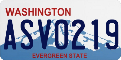 WA license plate ASV0219