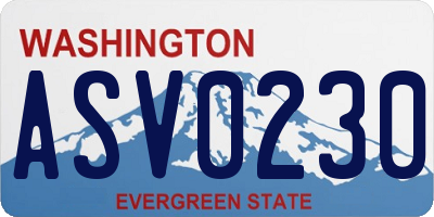 WA license plate ASV0230