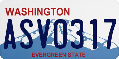 WA license plate ASV0317