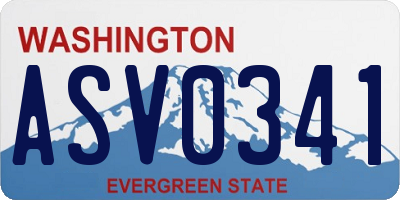 WA license plate ASV0341