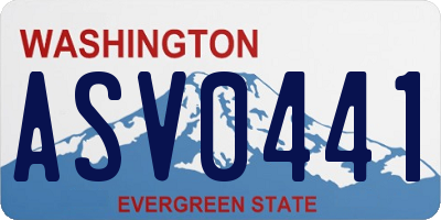 WA license plate ASV0441