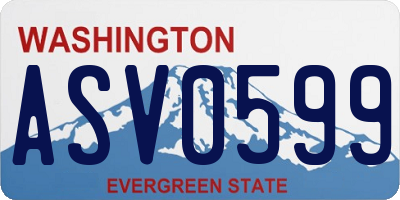 WA license plate ASV0599