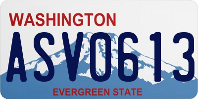 WA license plate ASV0613