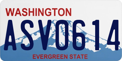 WA license plate ASV0614