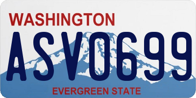 WA license plate ASV0699