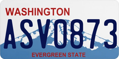 WA license plate ASV0873