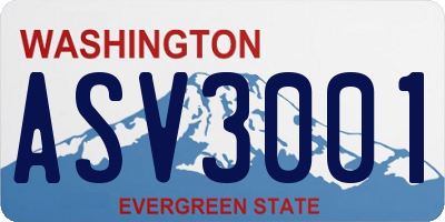 WA license plate ASV3001