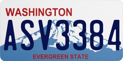 WA license plate ASV3384