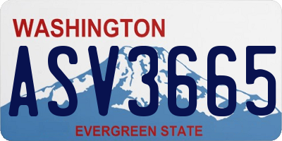 WA license plate ASV3665