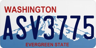 WA license plate ASV3775
