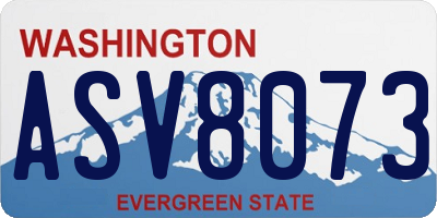 WA license plate ASV8073