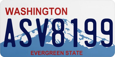 WA license plate ASV8199