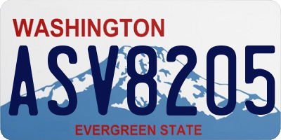 WA license plate ASV8205