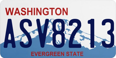 WA license plate ASV8213