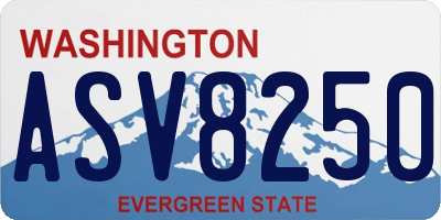 WA license plate ASV8250