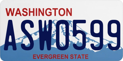 WA license plate ASW0599