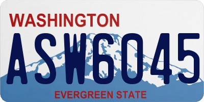 WA license plate ASW6045