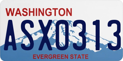 WA license plate ASX0313