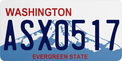 WA license plate ASX0517