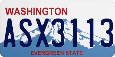 WA license plate ASX3113