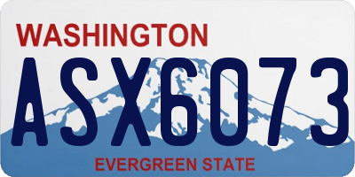 WA license plate ASX6073