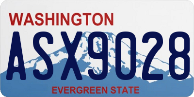 WA license plate ASX9028