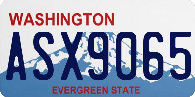 WA license plate ASX9065