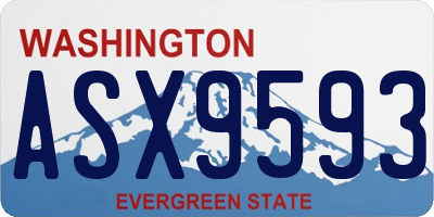 WA license plate ASX9593