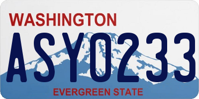 WA license plate ASY0233