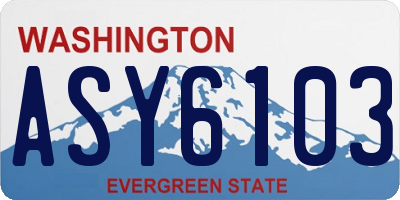 WA license plate ASY6103