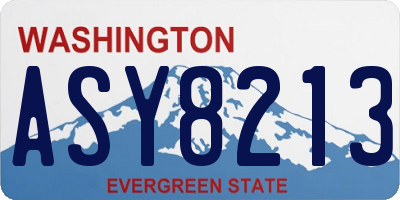 WA license plate ASY8213