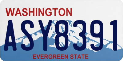 WA license plate ASY8391