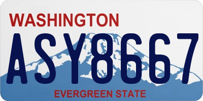 WA license plate ASY8667