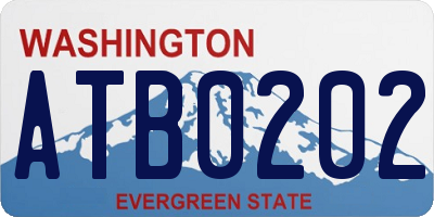 WA license plate ATB0202