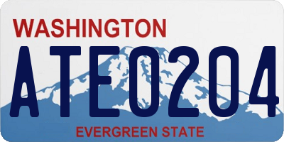 WA license plate ATE0204