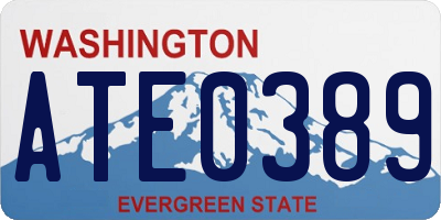 WA license plate ATE0389