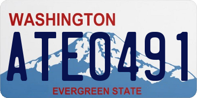 WA license plate ATE0491