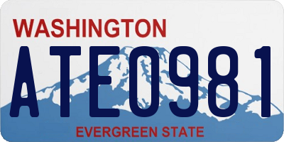 WA license plate ATE0981